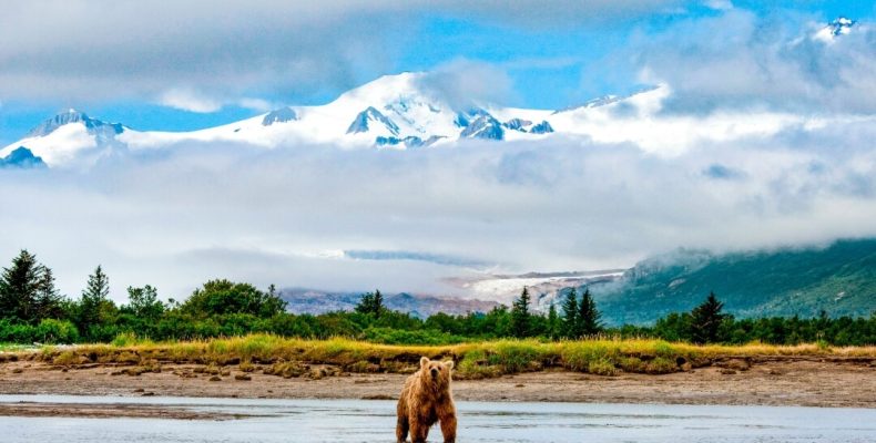 cc_hallo_bay_grizzly_mountains_alamy_rm_3840_16x9